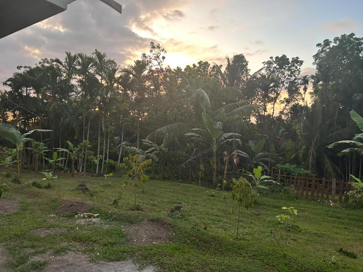 Senaru Garden Homestay Bagian luar foto